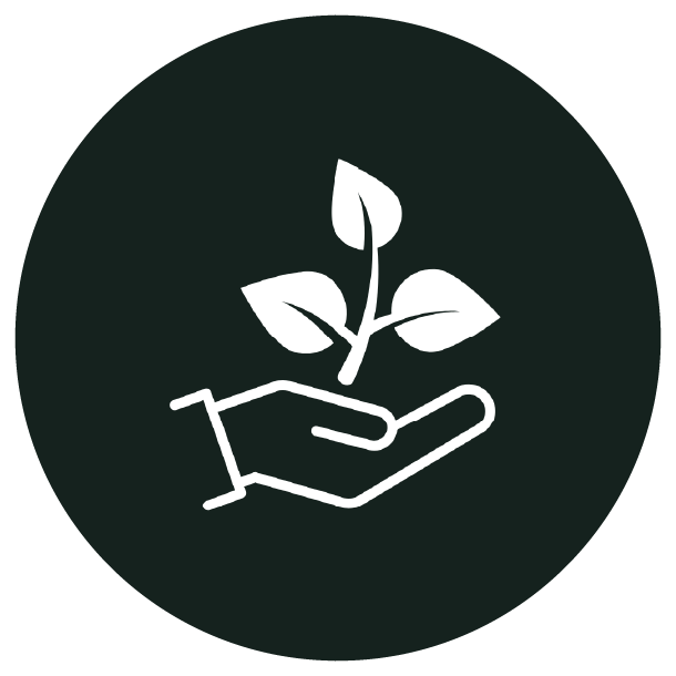 solution ecoresponsable