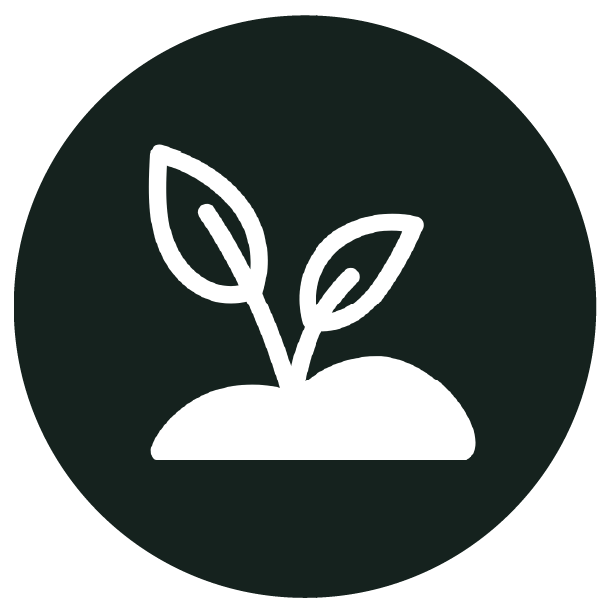 solution efficace et fiable