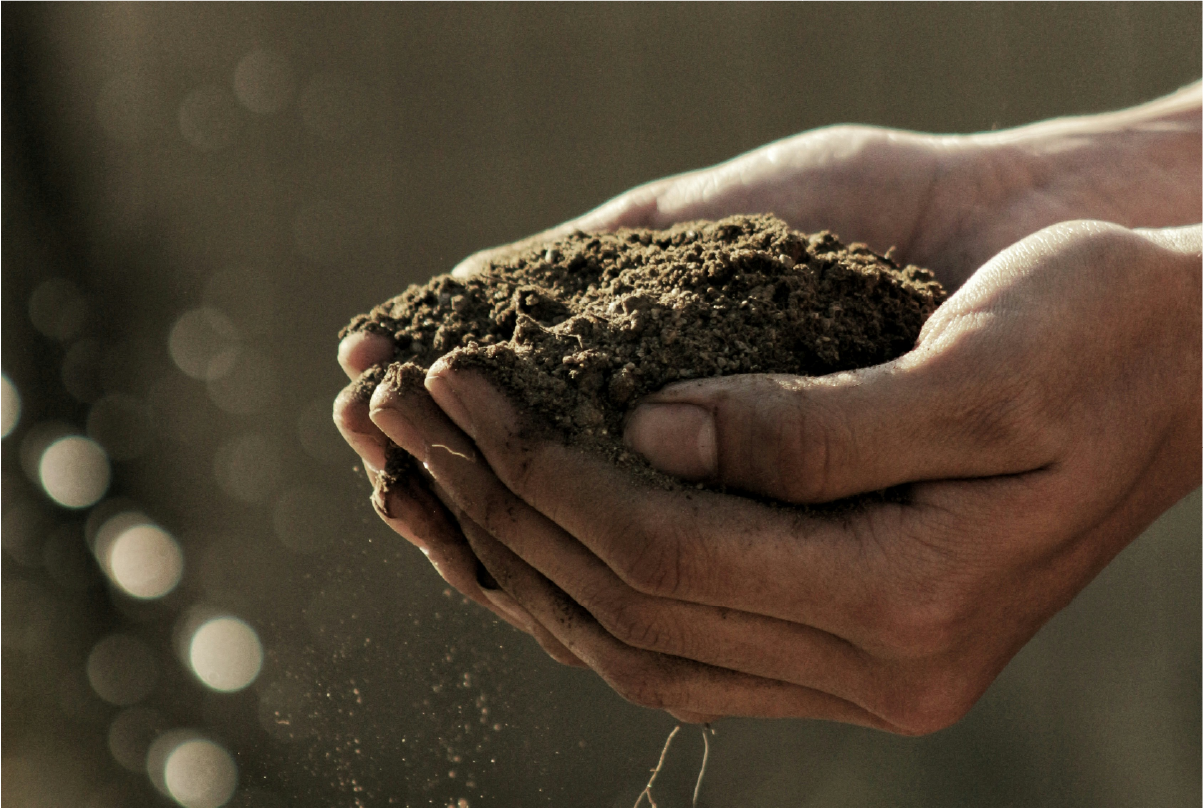 sol sec en manque d'eau du à un arrosage non optimisé et non efficace